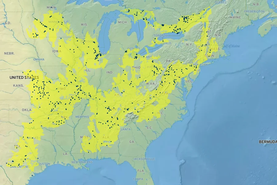 Trichostema brachiatum Native Range