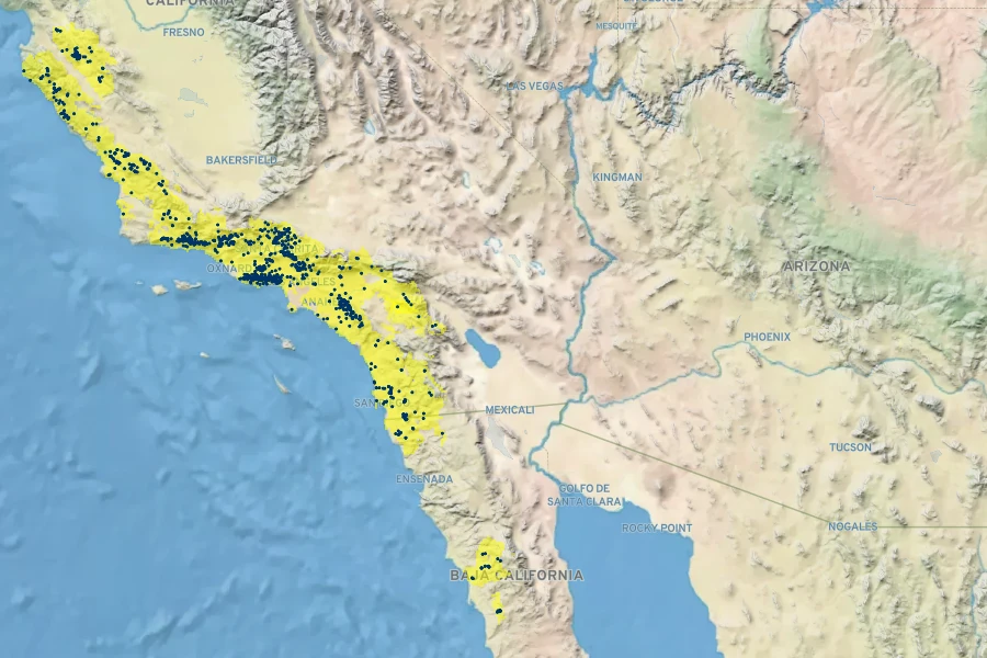 Trichostema lanatum Native Range
