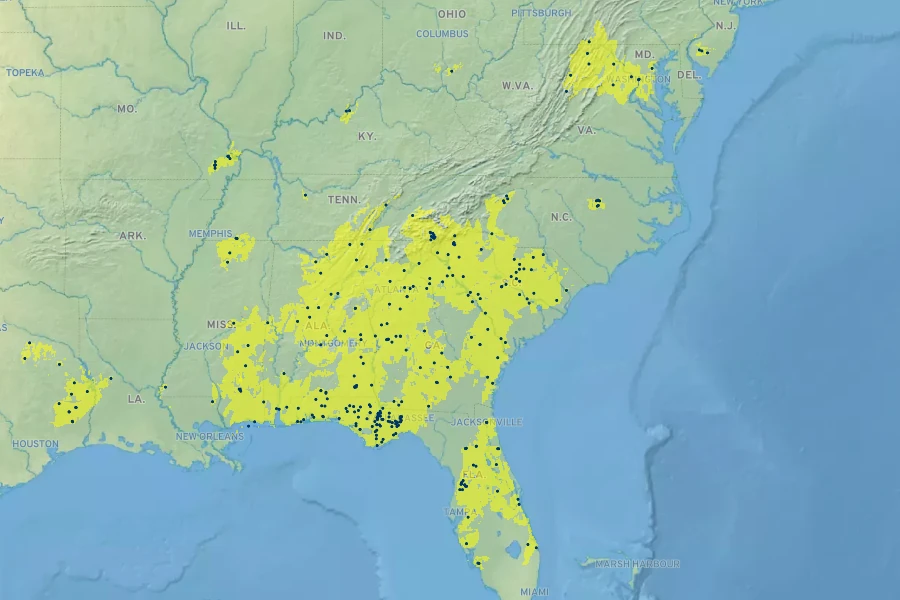 Trichostema setaceum Native Range