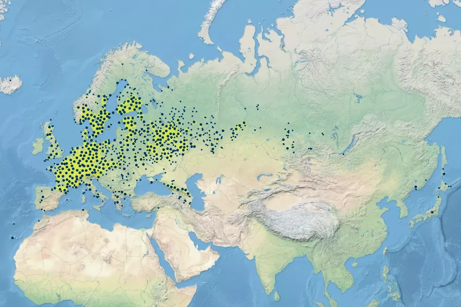 Trifolium aureum Native Range