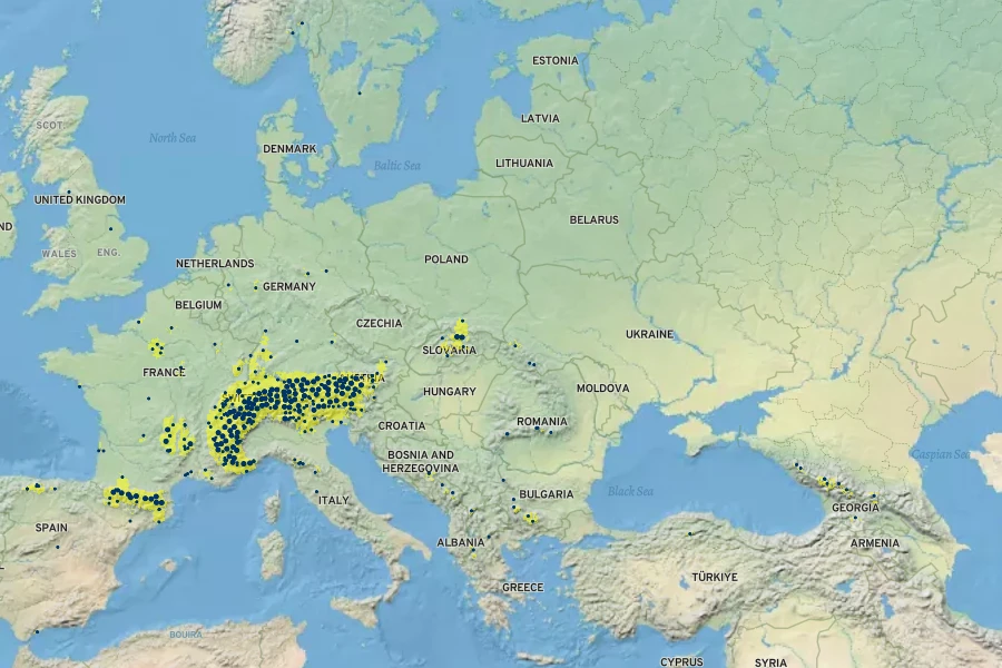 Trifolium badium Native Range