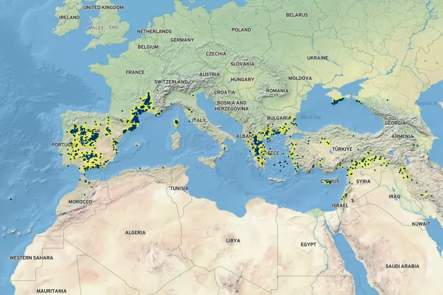 Trifolium hirtum Native Range