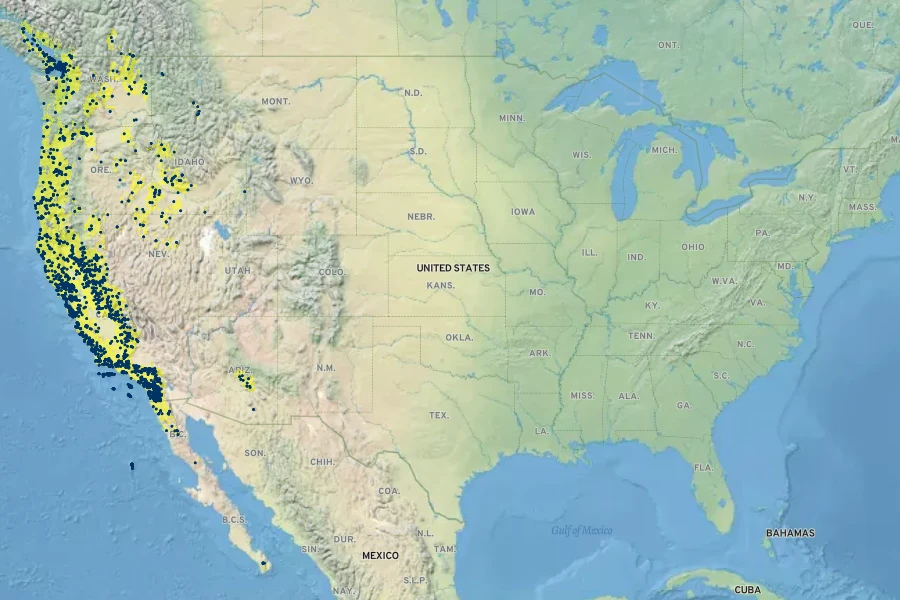 Trifolium microcephalum Native Range
