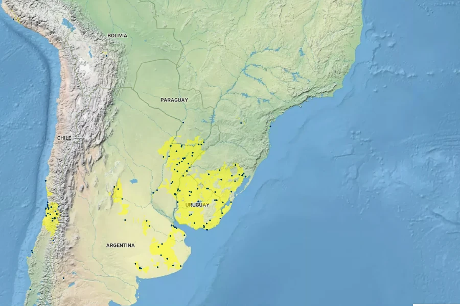 Trifolium polymorphum Native Range