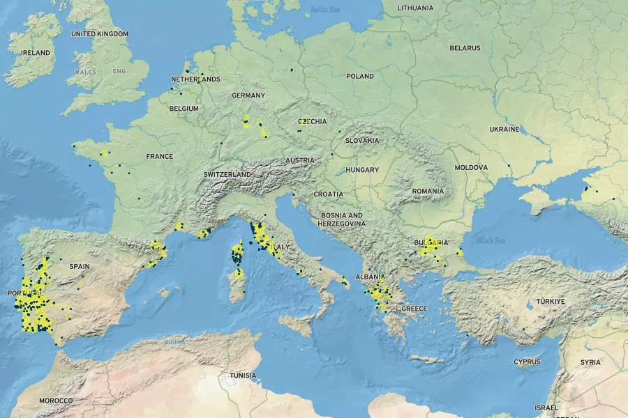 Trifolium vesiculosum Native Range