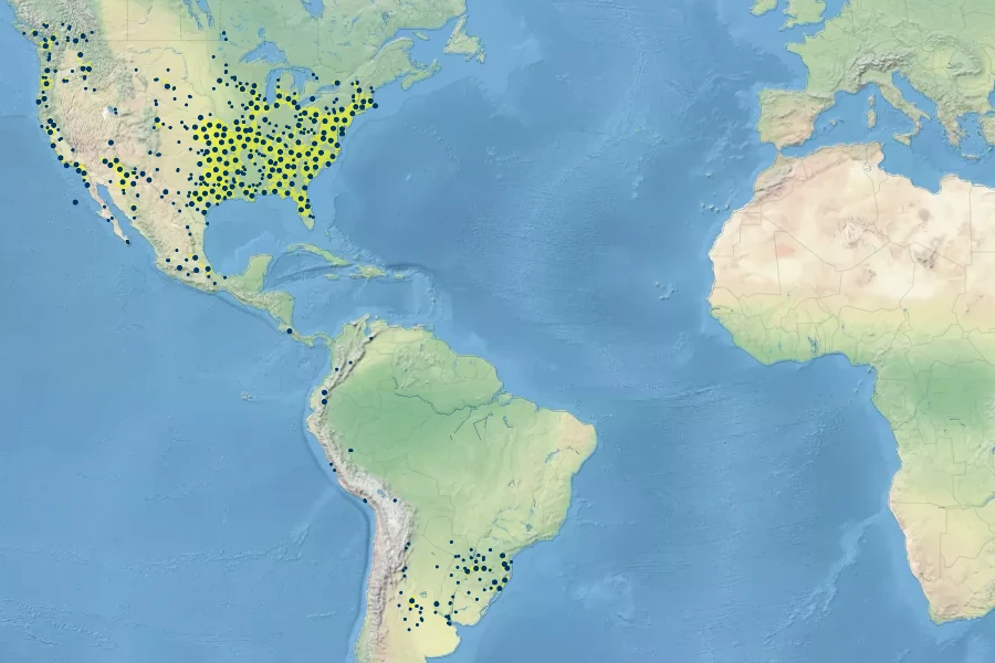 Triodanis perfoliata Native Range