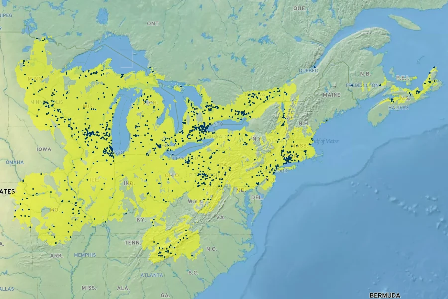 Triosteum aurantiacum Native Range