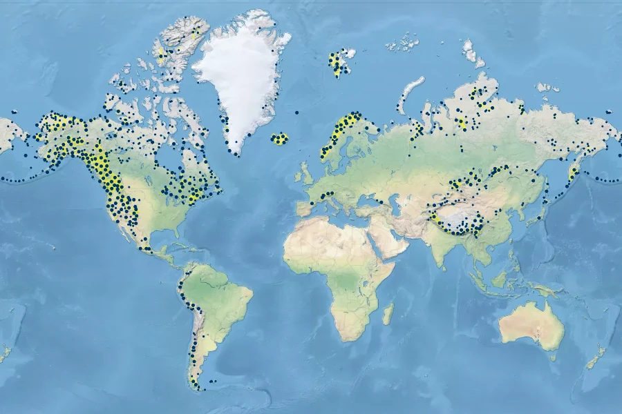 Trisetum spicatum Native Range
