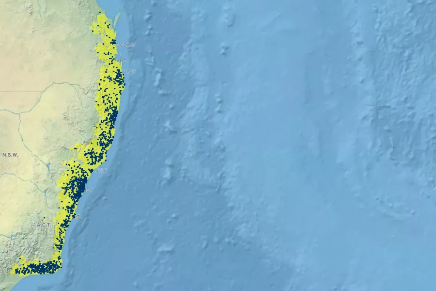 Tristaniopsis laurina Native Range