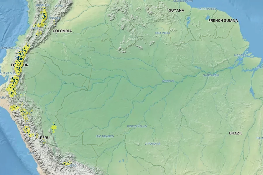 Tristerix longebracteatus Native Range