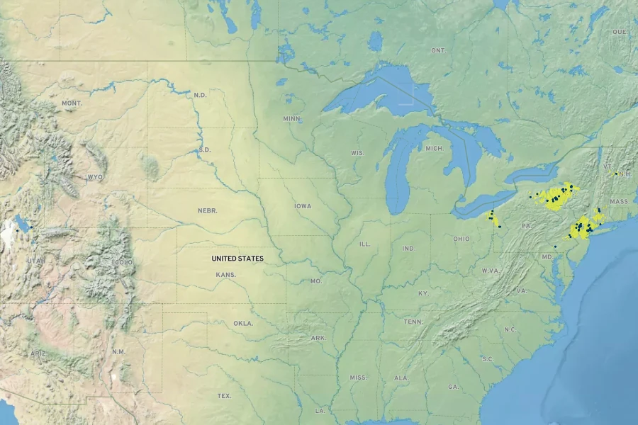 Trollius laxus Native Range