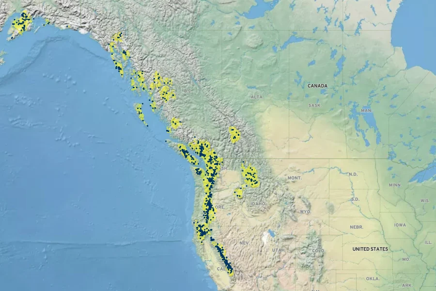 Tsuga mertensiana Native Range