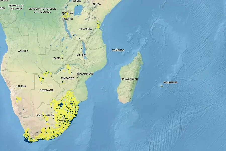 Typha capensis Native Range