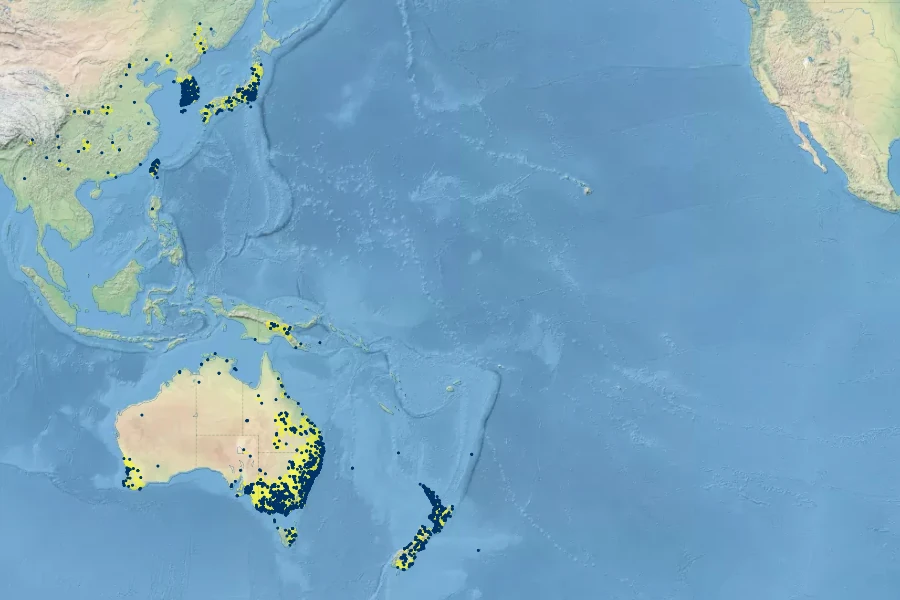 Typha orientalis Native Range
