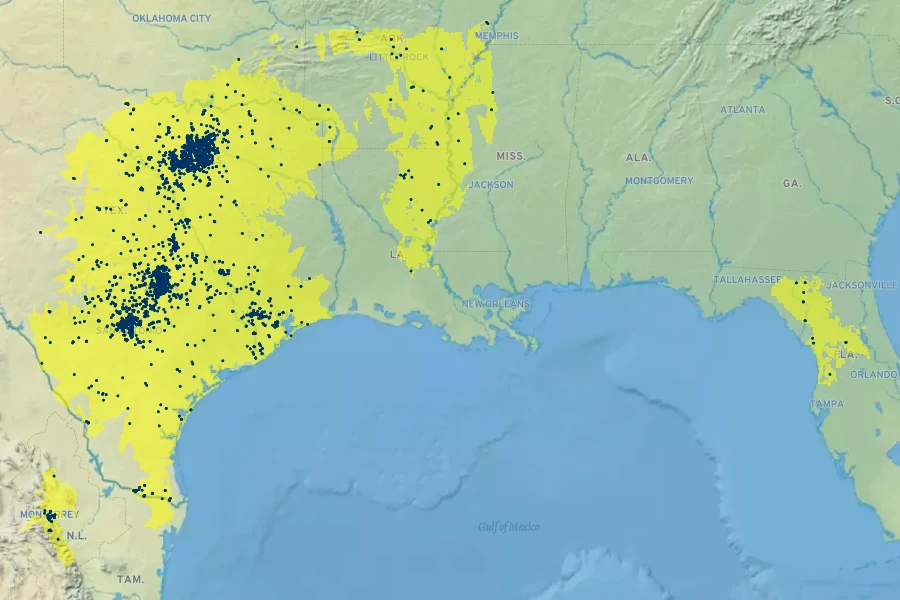 Ulmus crassifolia Native Range