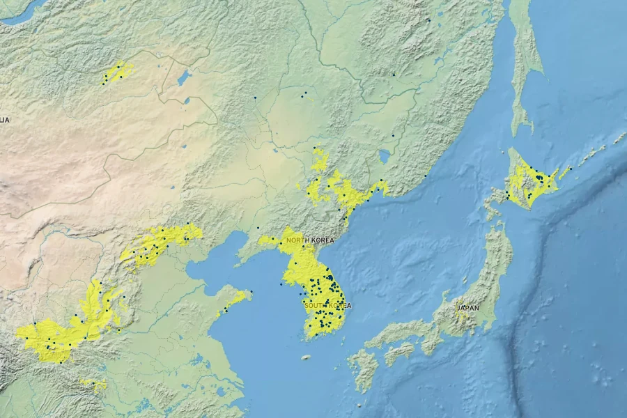 Ulmus davidiana Native Range