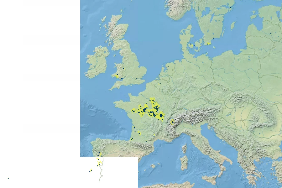 Ulmus procera Native Range
