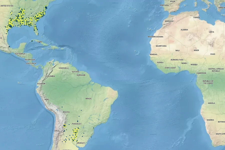Urochloa platyphylla Native Range