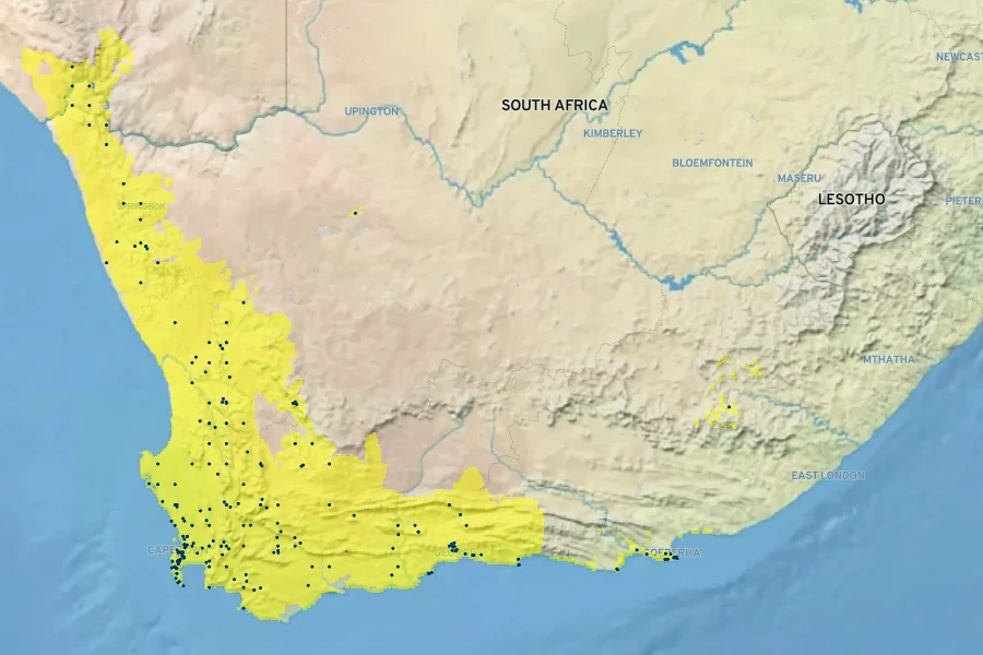 Ursinia anthemoides Native Range