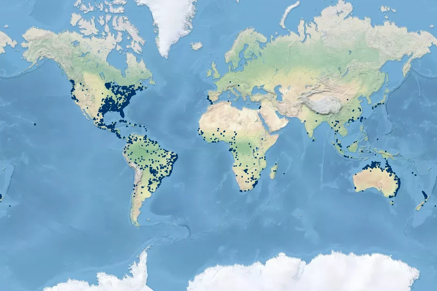 Utricularia gibba Native Range