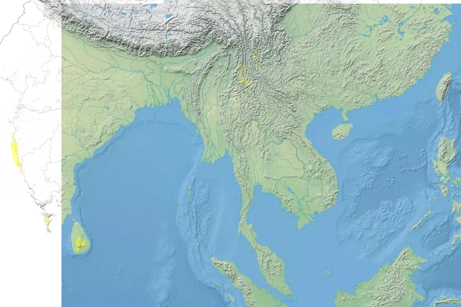 Utricularia graminifolia Native Range