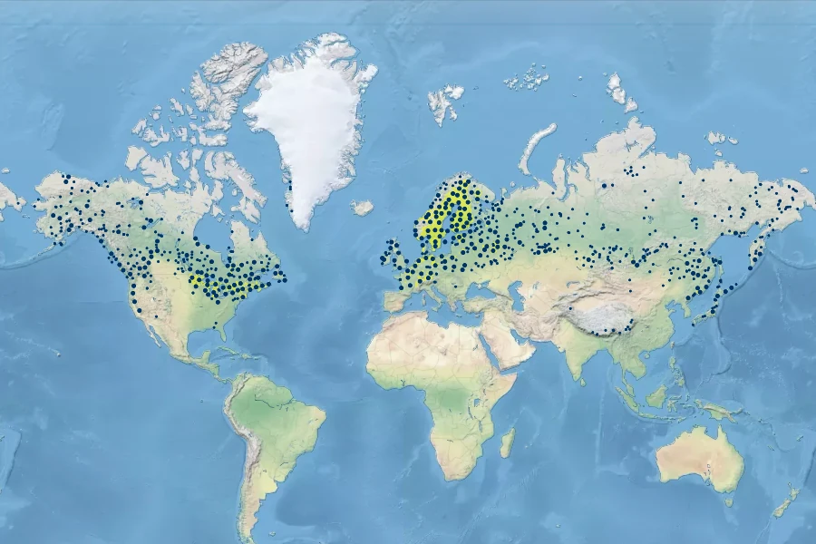 Utricularia intermedia Native Range