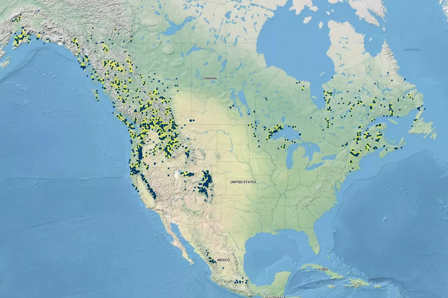 Vaccinium cespitosum Native Range