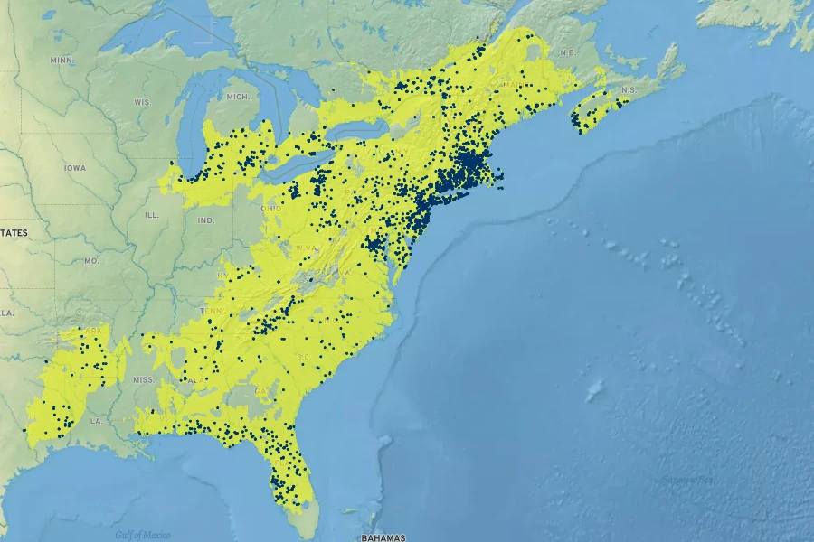 Vaccinium corymbosum Native Range