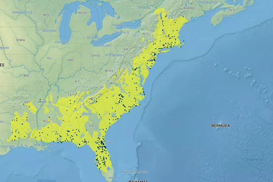 Vaccinium fuscatum Native Range