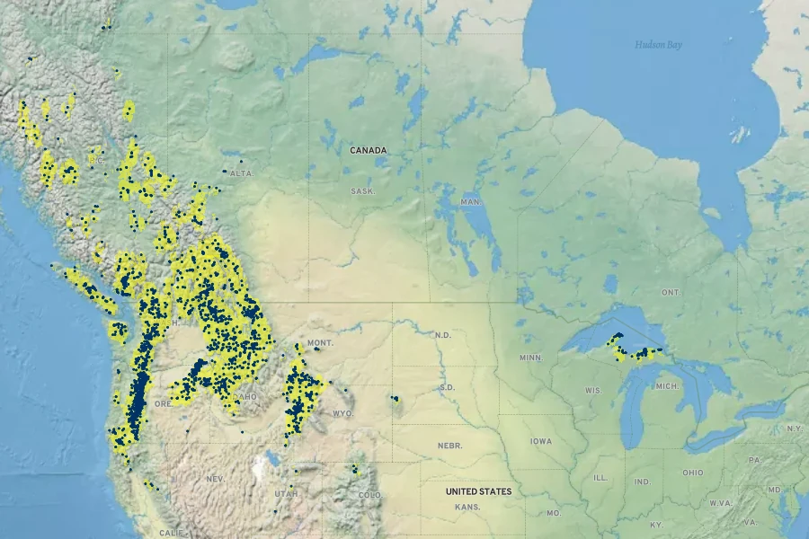 Vaccinium membranaceum Native Range