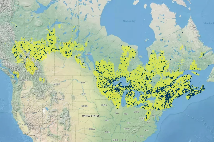 Vaccinium myrtilloides Native Range