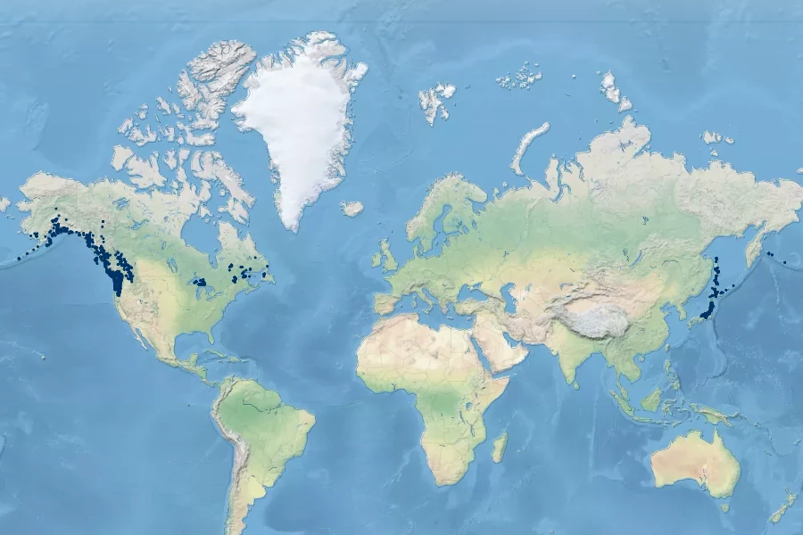 Vaccinium ovalifolium Native Range