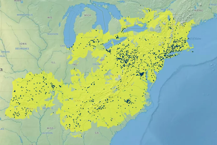 Vaccinium pallidum Native Range