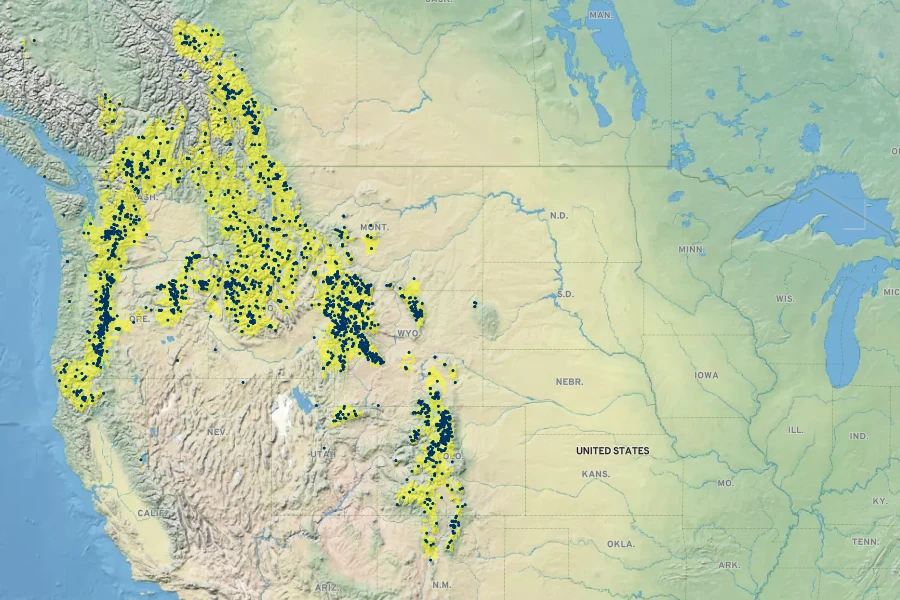 Vaccinium scoparium Native Range