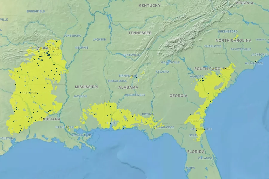 Vaccinium virgatum Native Range