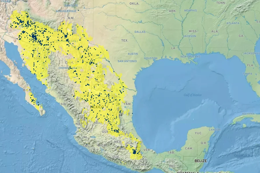 Vachellia constricta Native Range