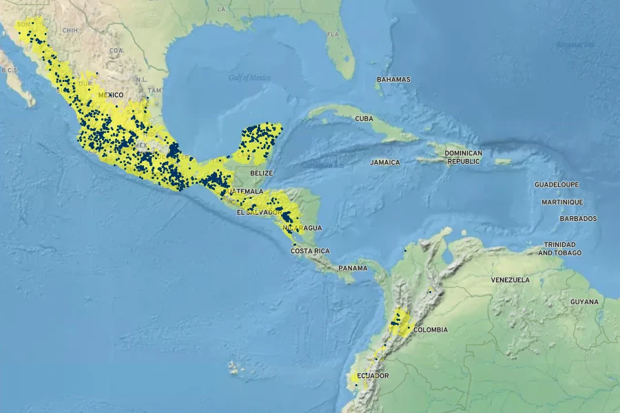 Vachellia pennatula Native Range