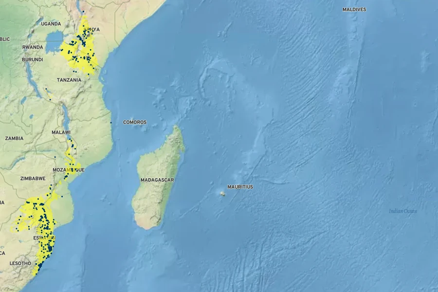 Vachellia xanthophloea Native Range
