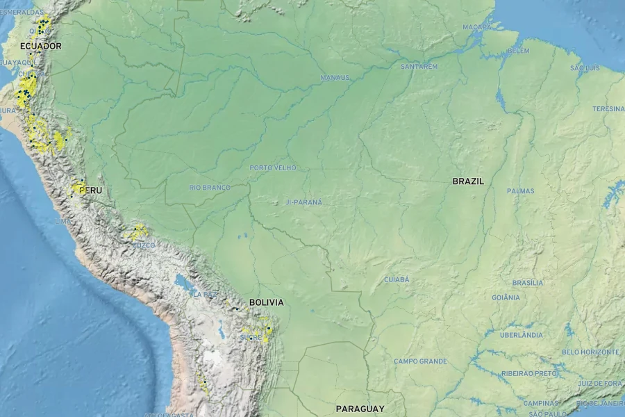 Varronia crenata Native Range