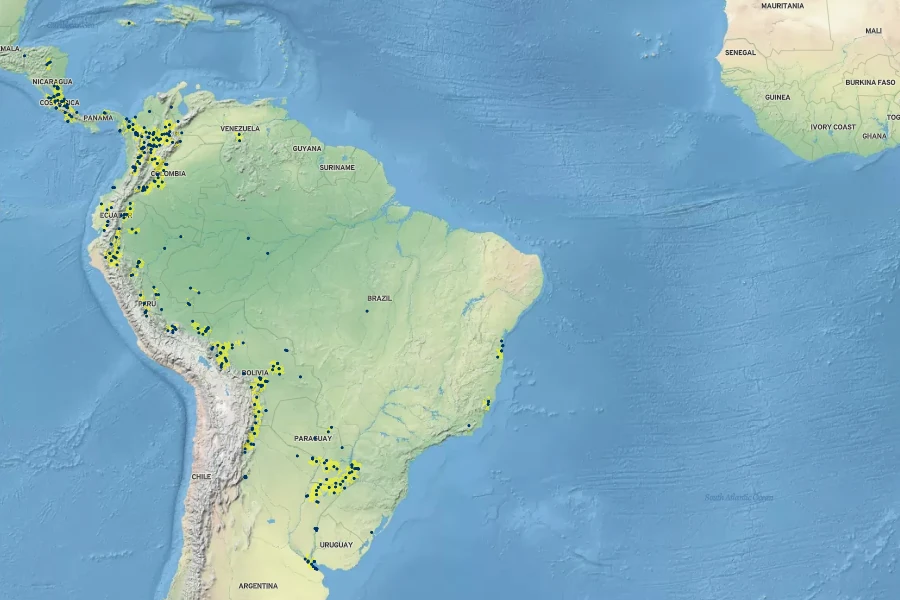 Varronia dichotoma Native Range
