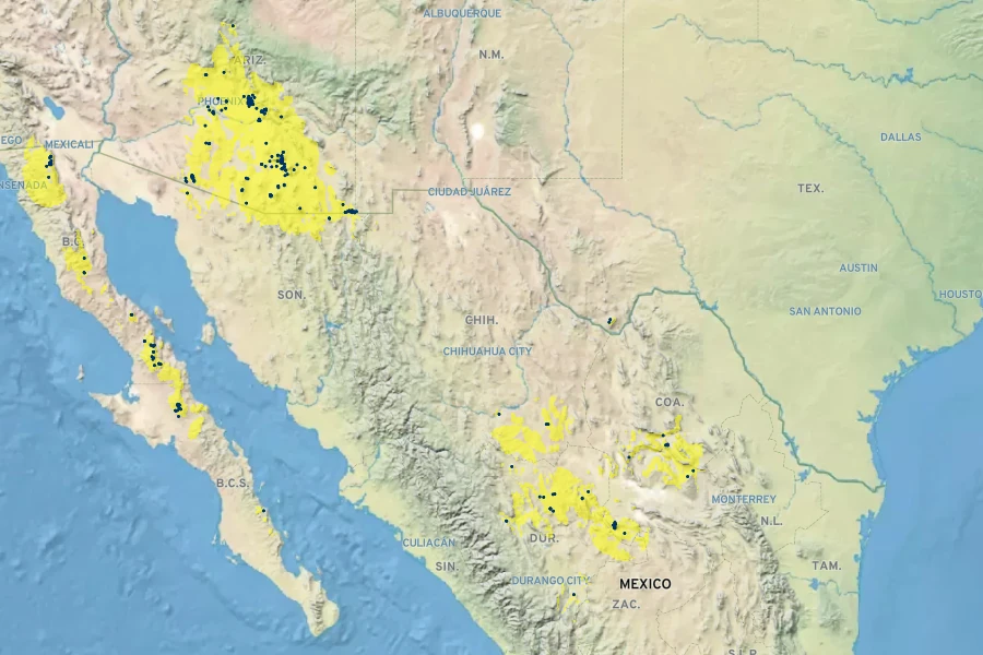 Vauquelinia californica Native Range