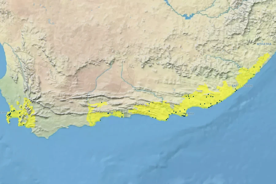 Veltheimia bracteata Native Range