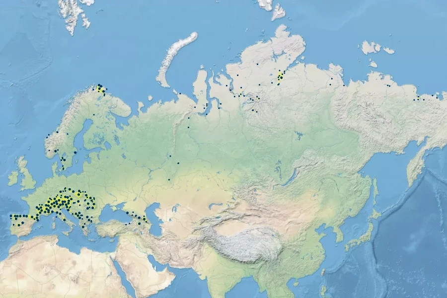 Veratrum album Native Range