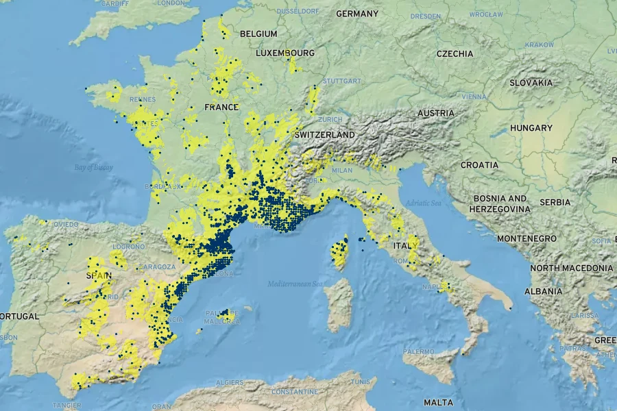 Verbascum boerhavii Native Range