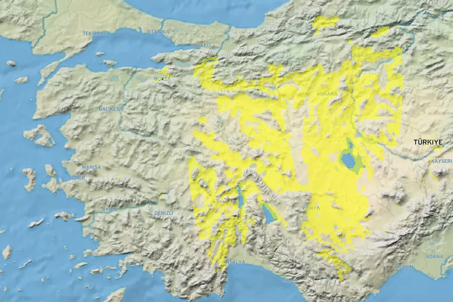 Verbascum bombyciferum Native Range