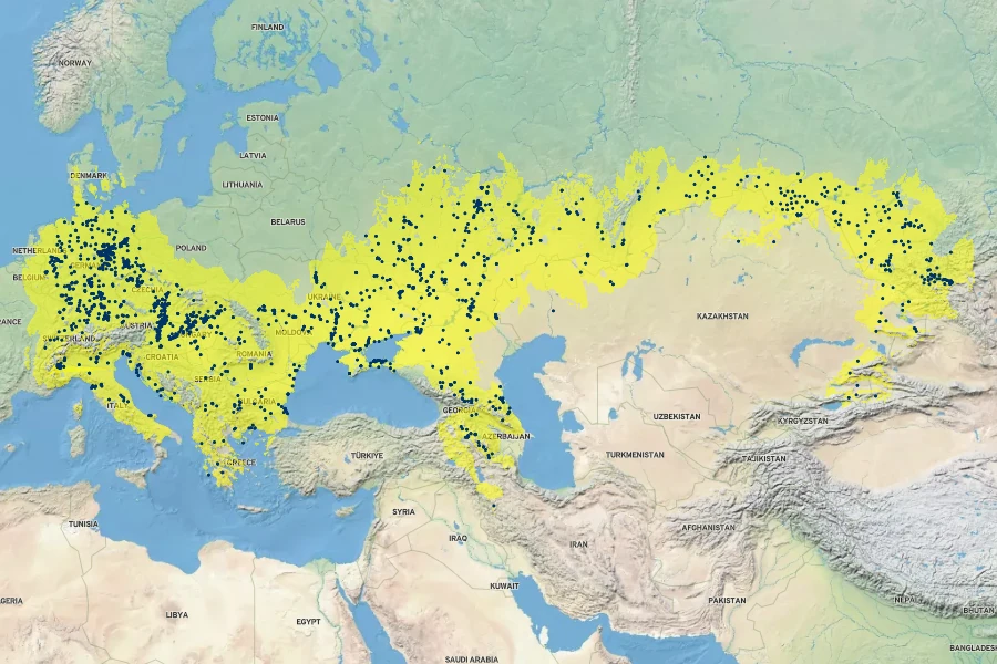 Verbascum phoeniceum Native Range