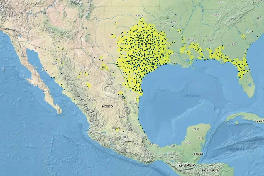 Verbena halei Native Range