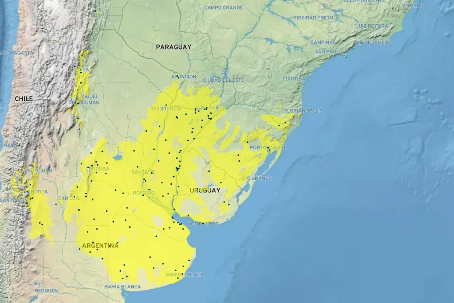 Verbena intermedia Native Range