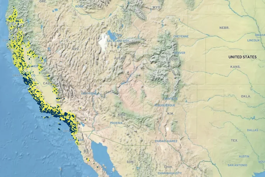 Verbena lasiostachys Native Range