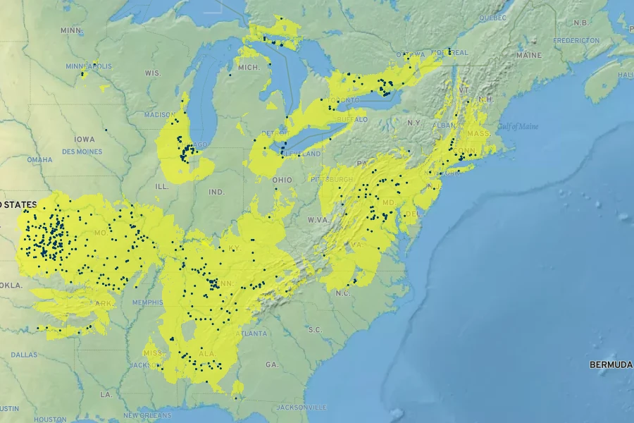 Verbena simplex Native Range